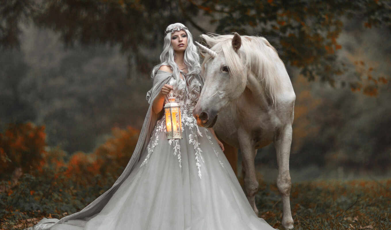 фото, девушка, white, женщина, лошадь