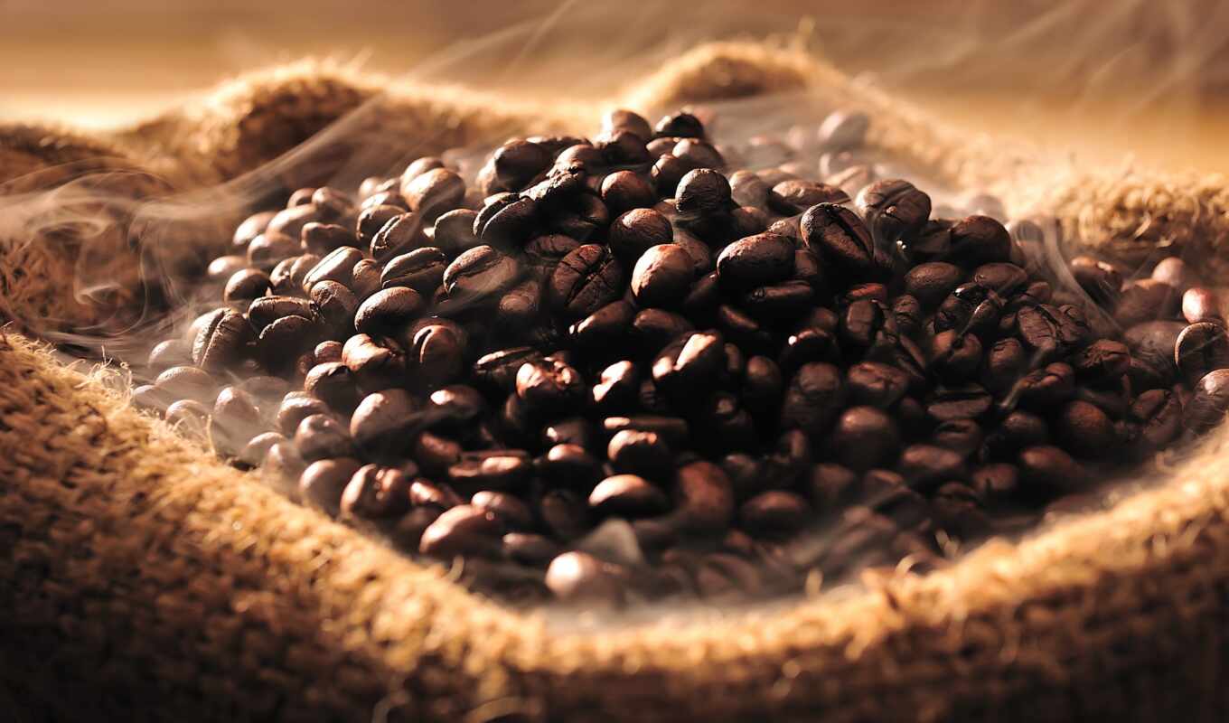 coffee, cup, bag, seed