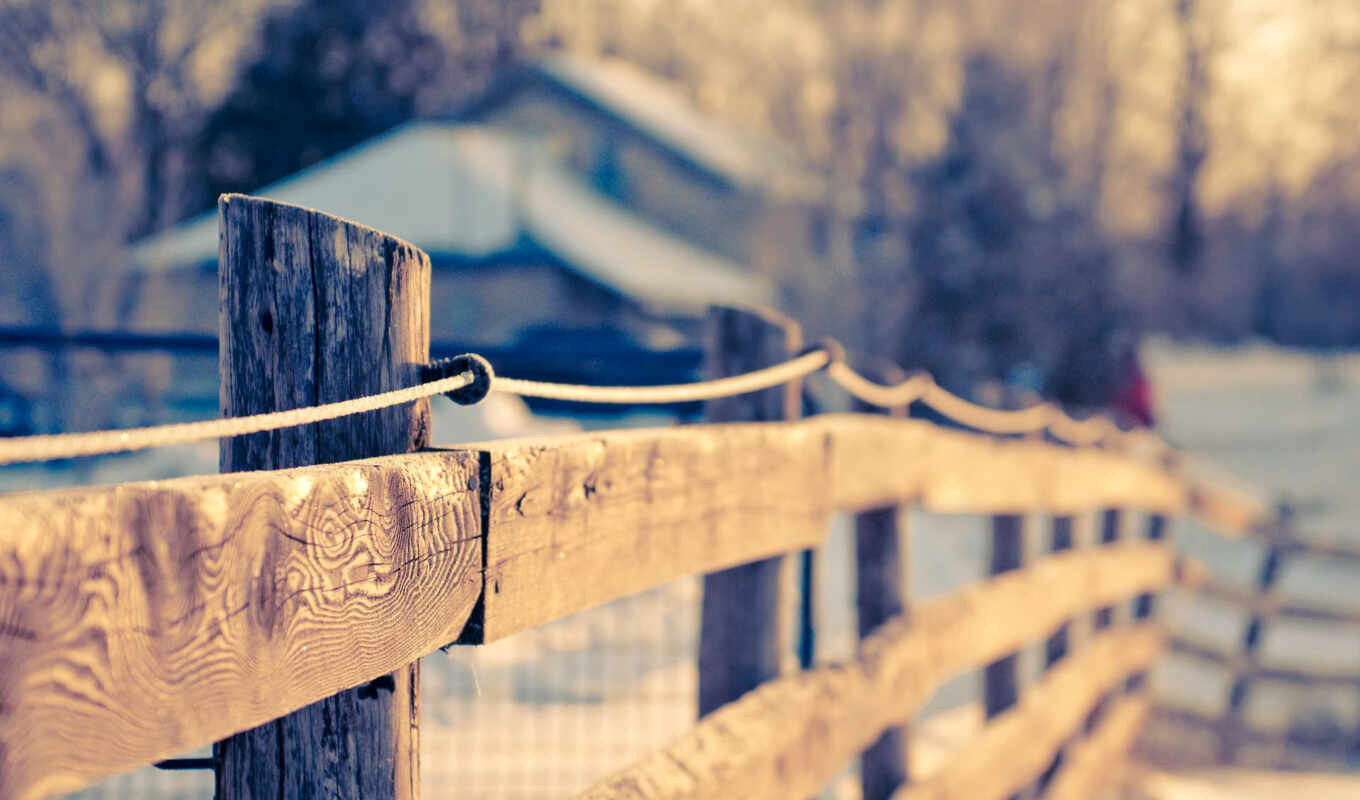 large format, macro, wooden, fence, widescreen