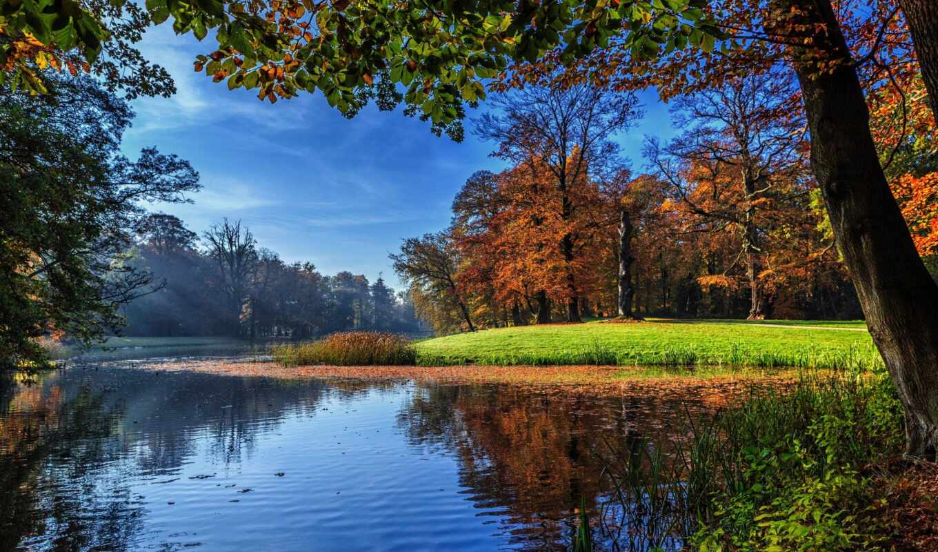 природа, desktop, free, landscape, нидерланды, осень, trees, holland, darthuizen