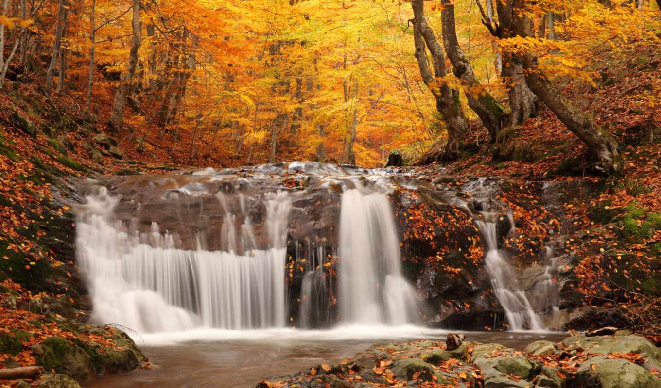 nature, collection, stone, forest, autumn, waterfall, trees