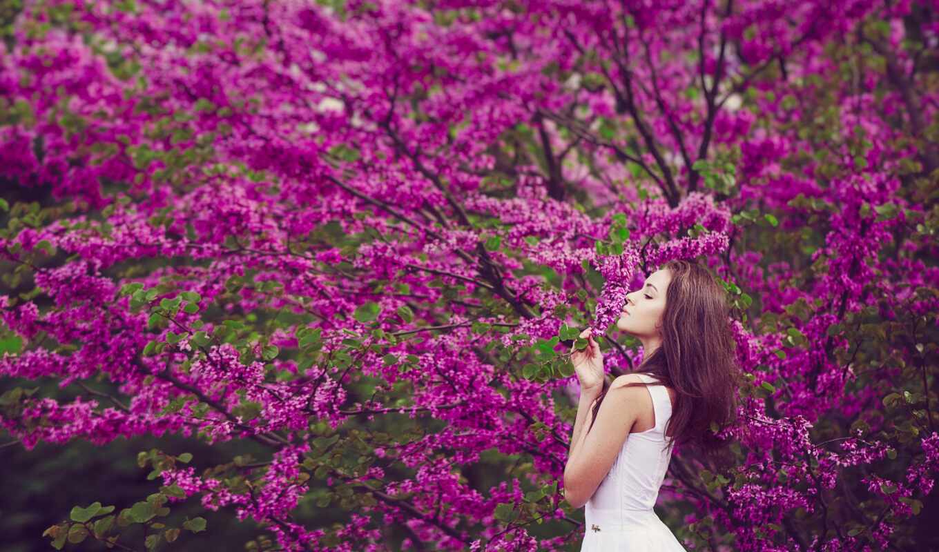 природа, фото, цветы, девушка, дерево, весна, сиреневый, красивый, bloom, tanita