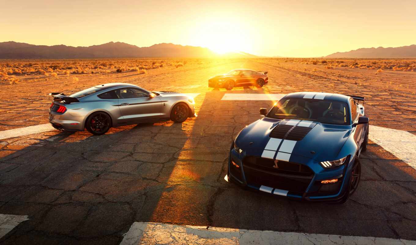 ford, mustang, shelby, новое