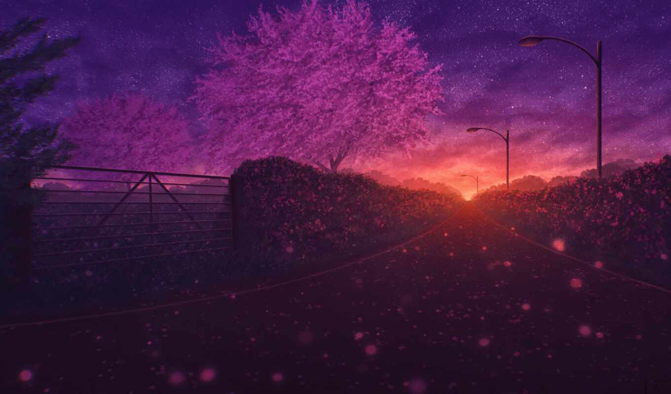 anime, закат, ночь, лепестки, дорога, Сакура, landscape, весна, notebook, дорогой, shirokoformatnyi