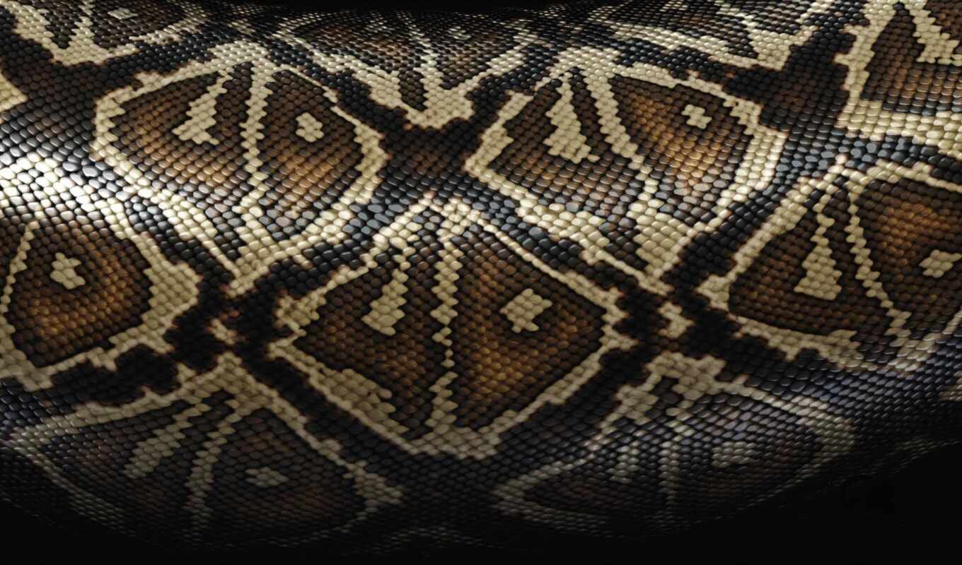 skin, snake, serpentine, jersey, python, under, shirokoformatnyi