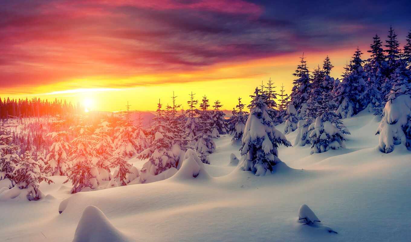 природа, снег, winter