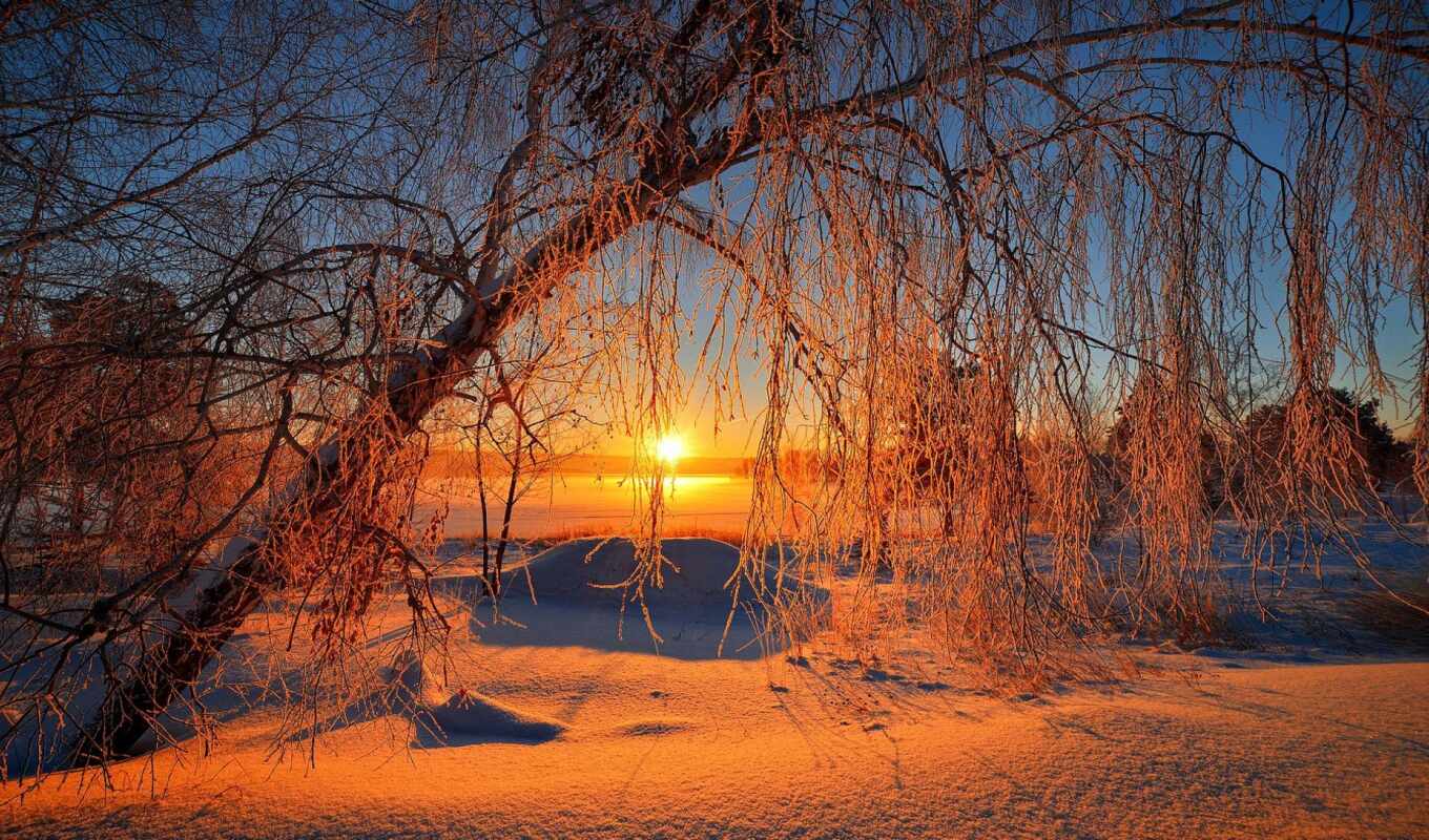 nature, sky, sun, tree, sunset, snow, winter, landscape, trees, rising