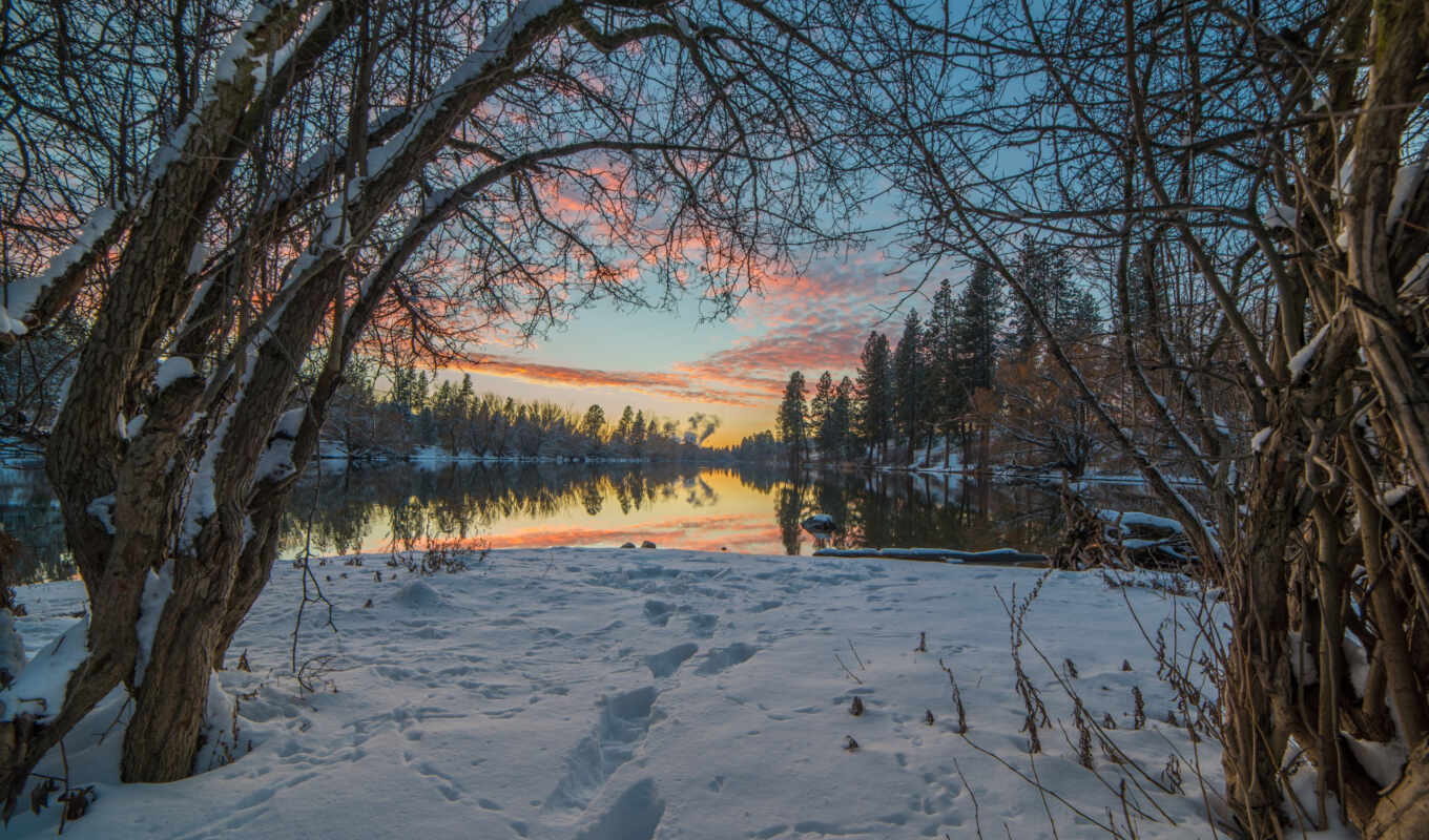 озеро, desktop, android, free, снег, winter, trees