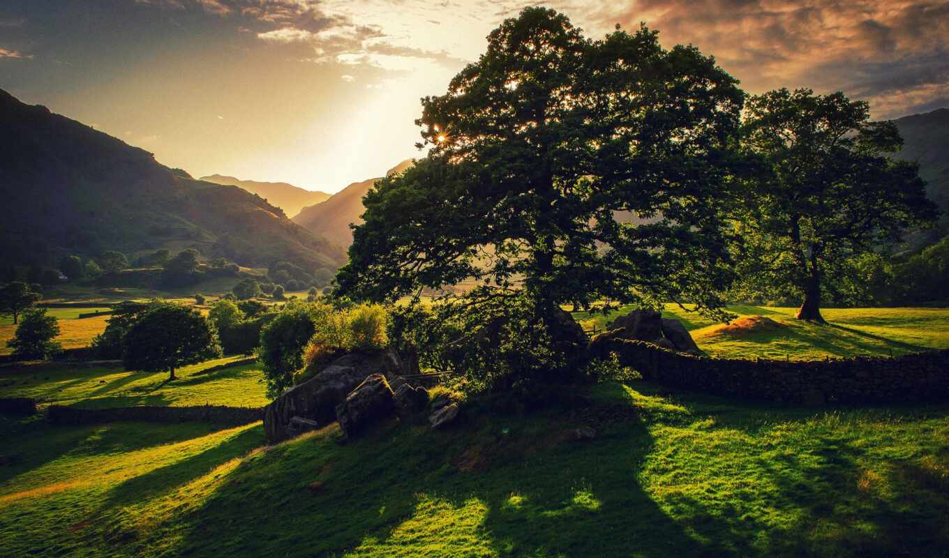 природа, summer, страница, дерево, зелёный, photos, ирландский, день, ireland, rylik