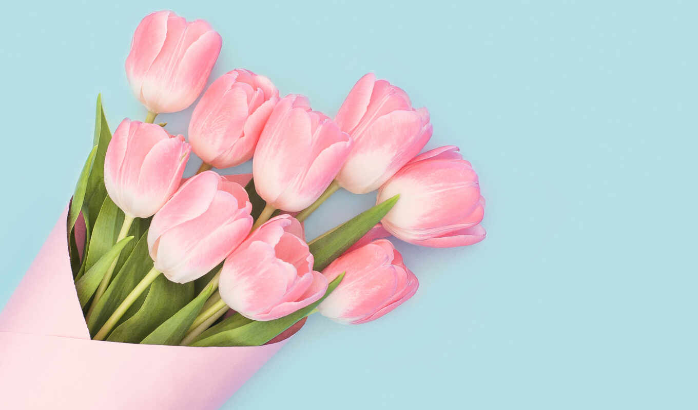 free, flowers, pink, spring, baby, bouquet, tulips, cvety