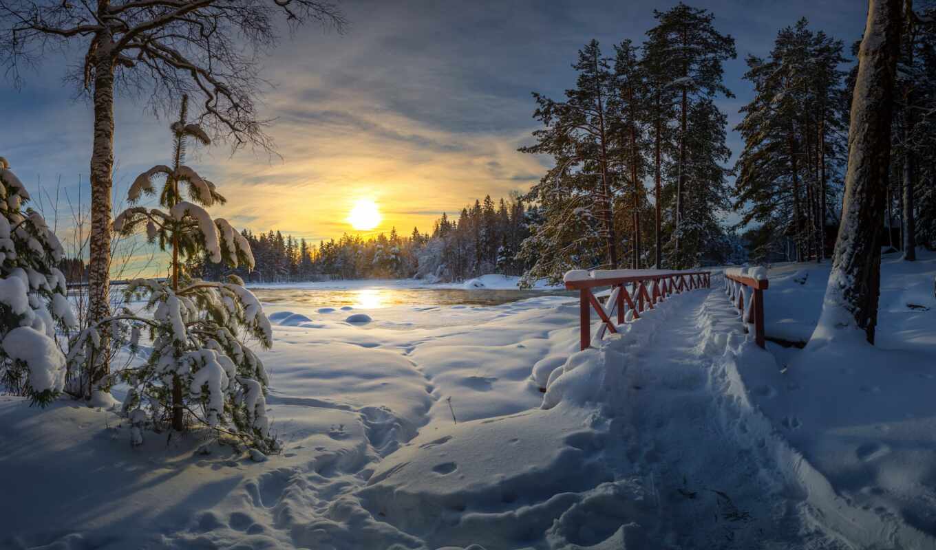 дерево, закат, снег, winter, landscape, финляндия, elevation, fore, koskelontie
