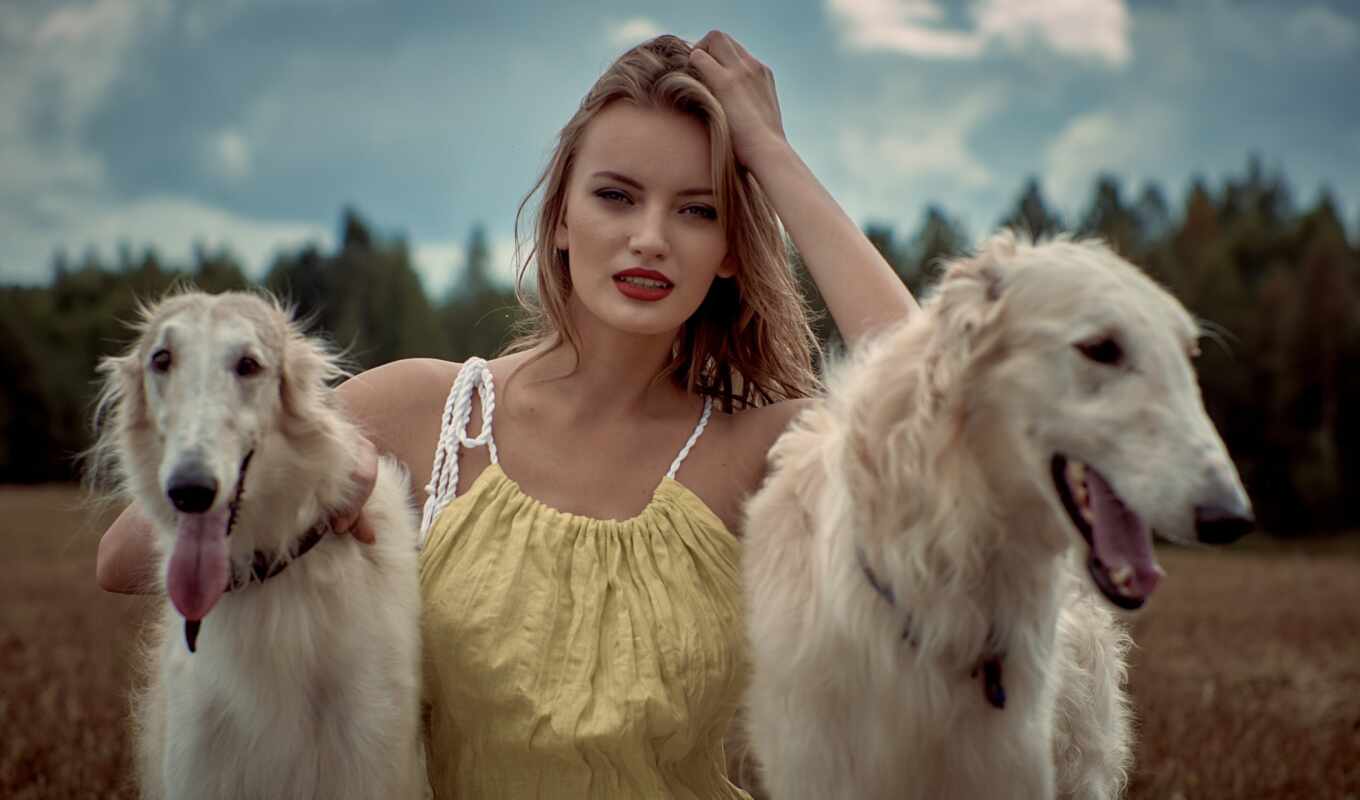 nature, girl, background, dog, breed, two, borzoi
