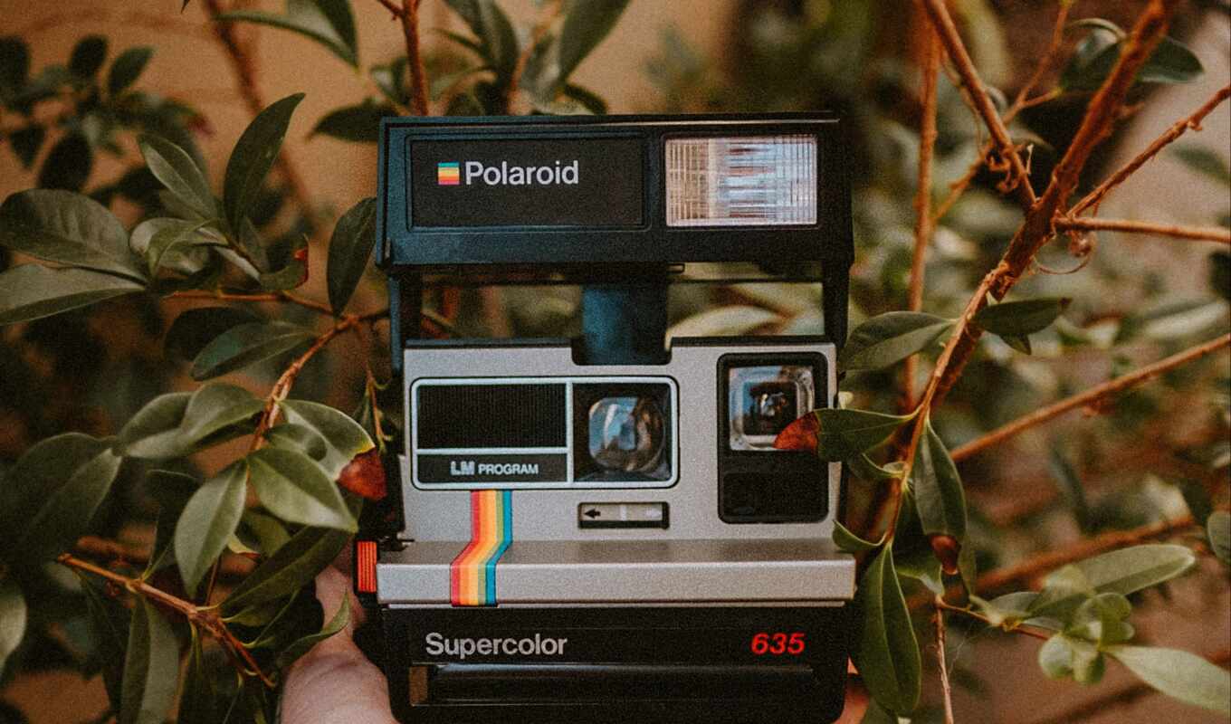 black, photo camera, hold, polaride