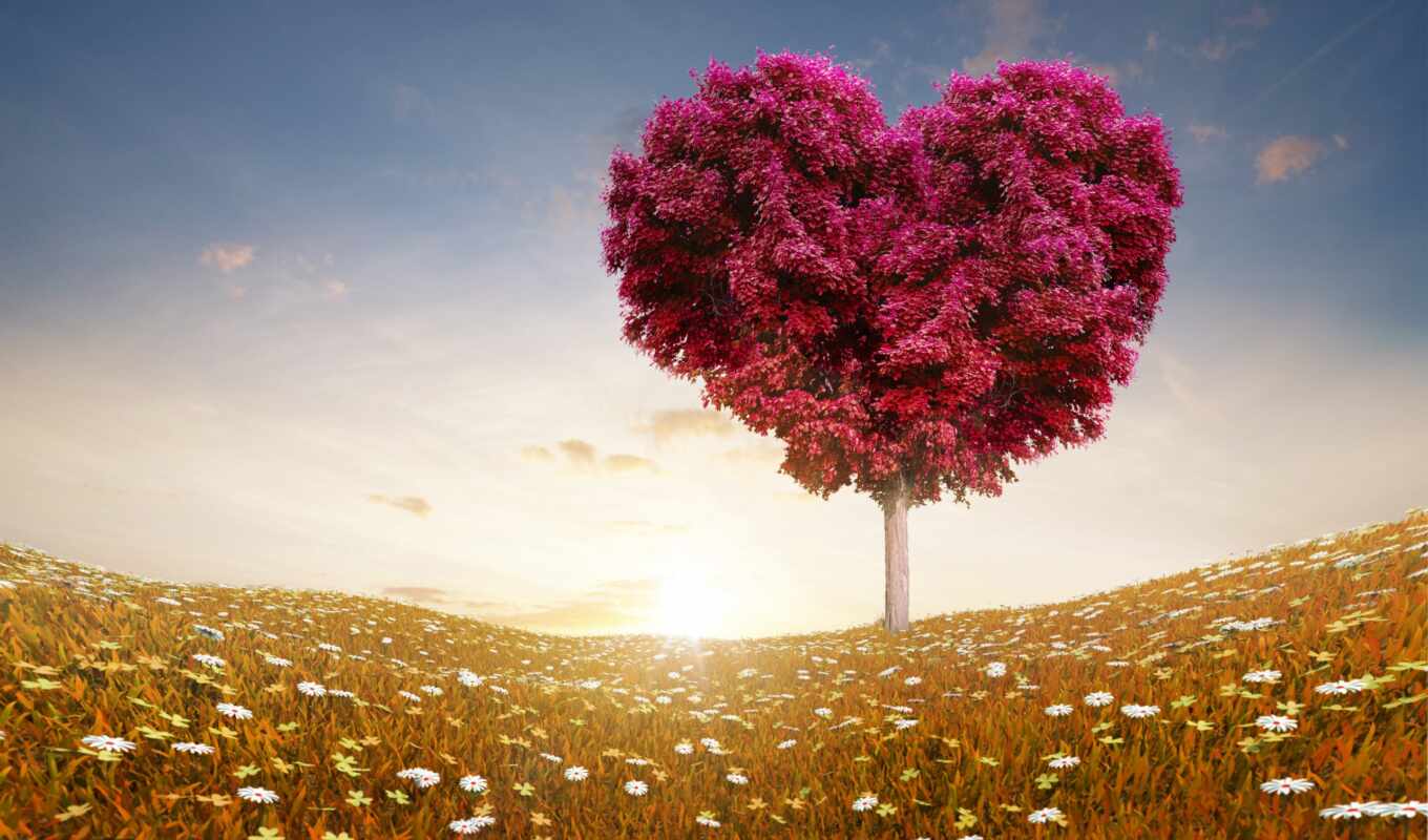 love, сердечки, дерево, поле, example, ненависть