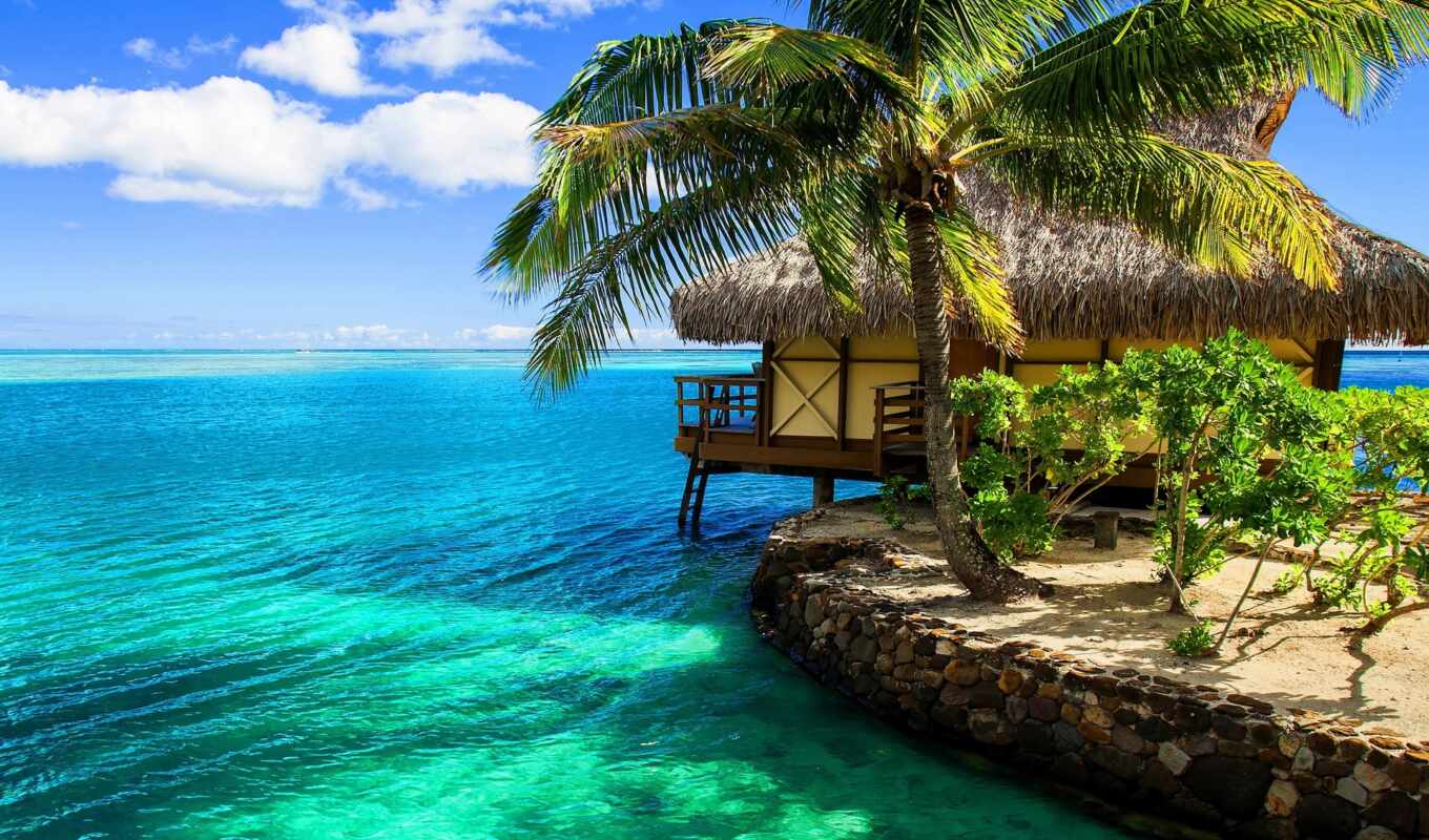природа, пляж, море, million, остров, resort, palm