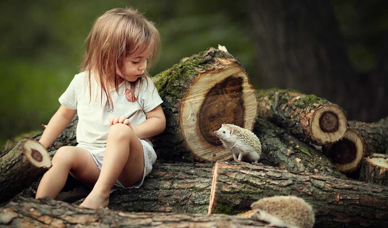 nature, girl, hedgehog, kid