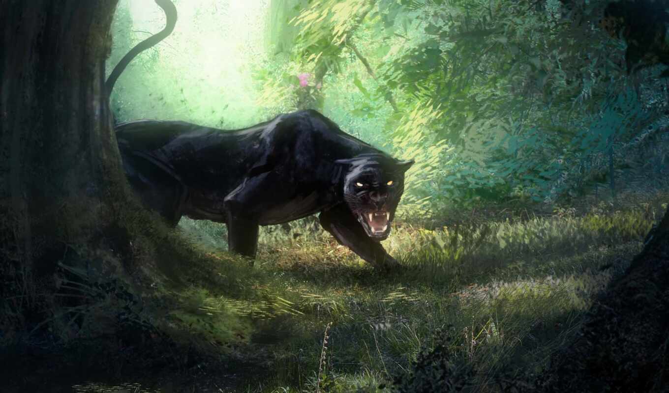 black, jungle, panther