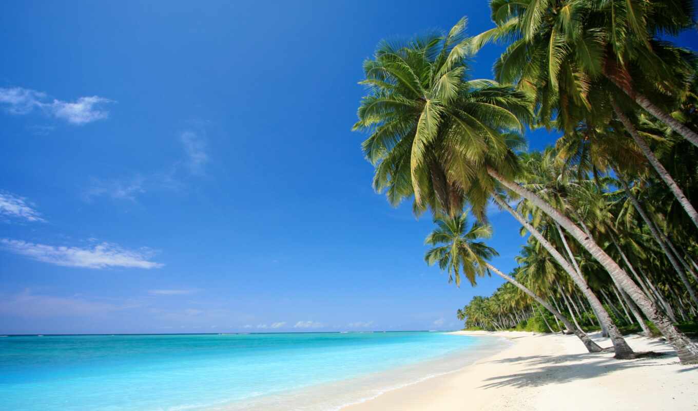 картинка, пляж, море, песок, пальмы, тропики