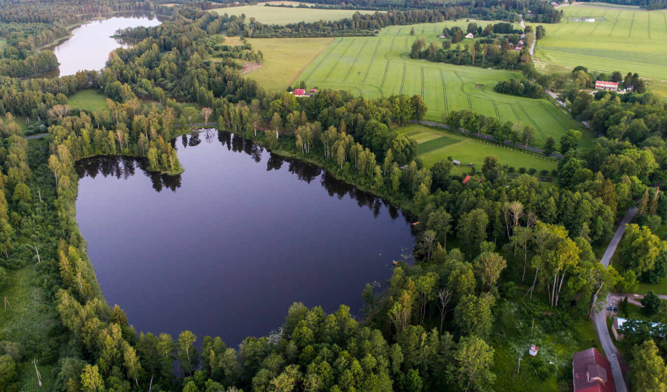озеро, природа, лес, эстония, oir