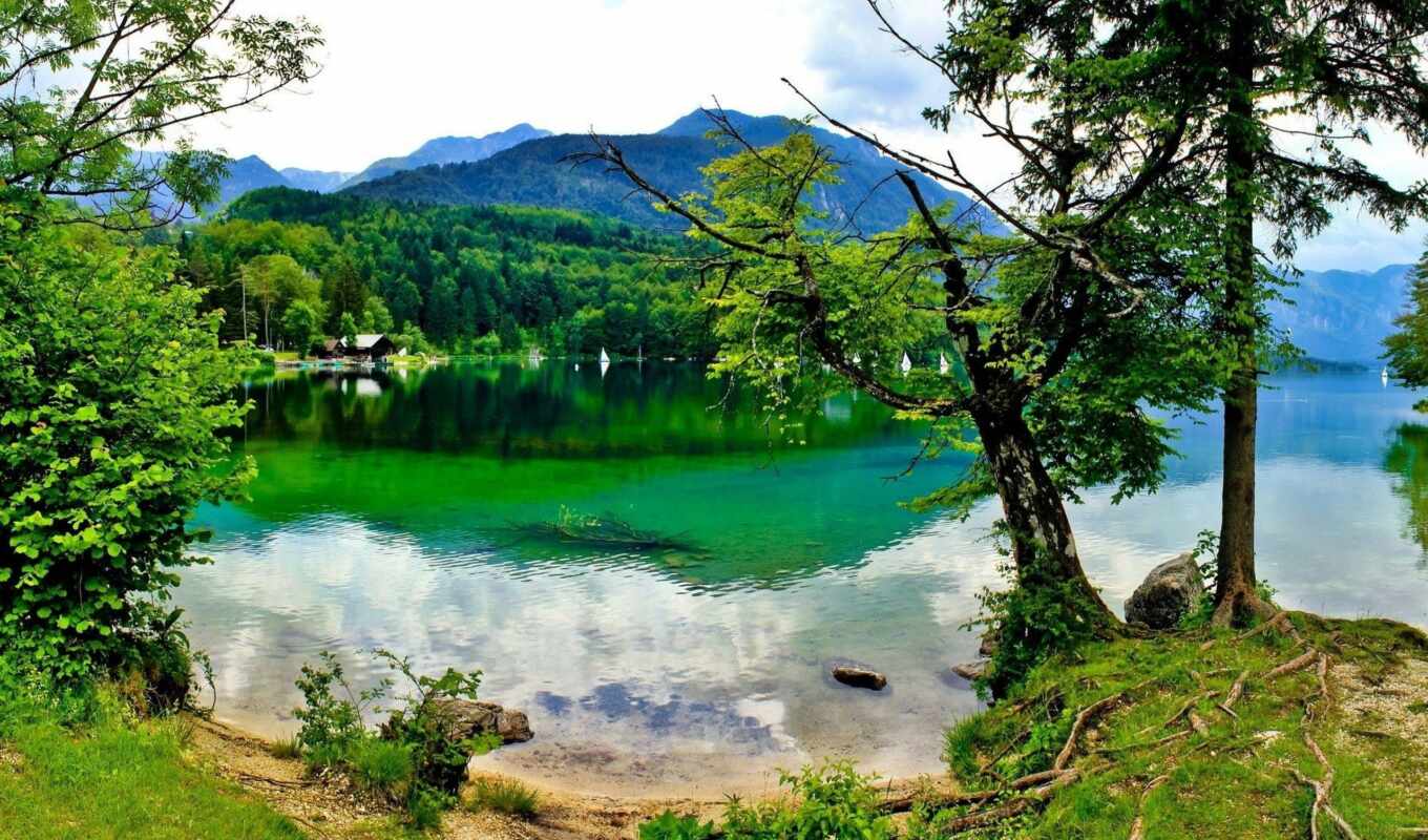 lake, shore, coast, green, lakes, slovenia, growing, mountains, the woods, bohinj