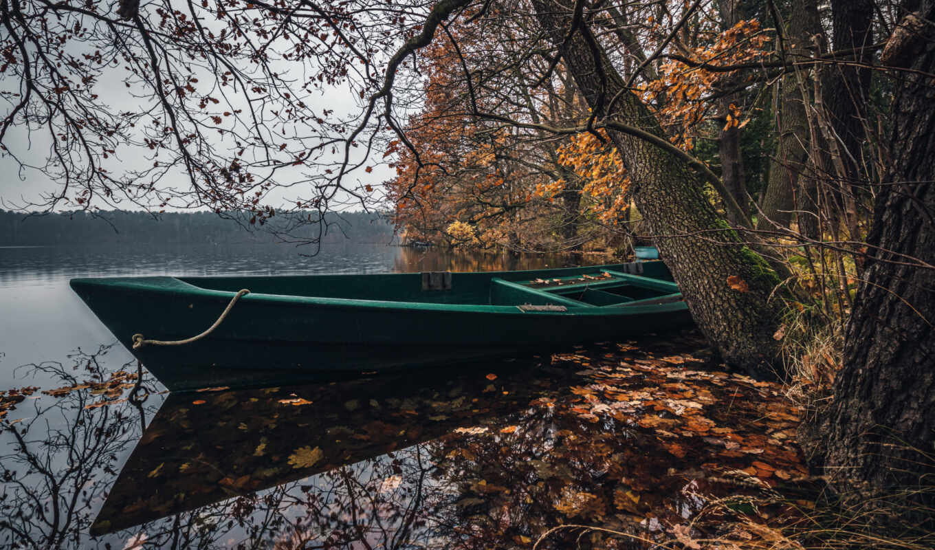 sheet, tree, grass, autumn, plant, reflection, a boat, vodyt