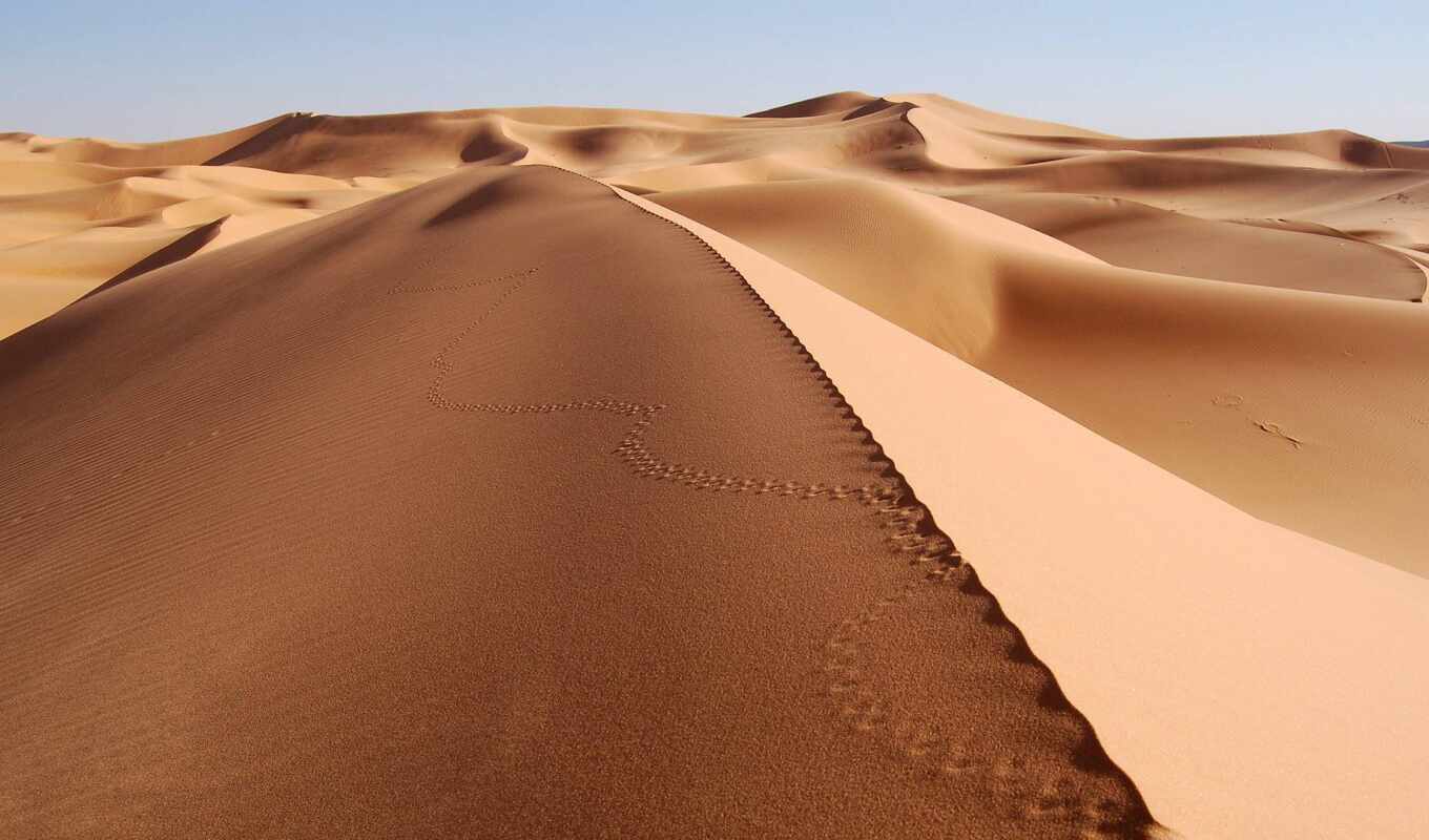 desert, namibia, dune, angola