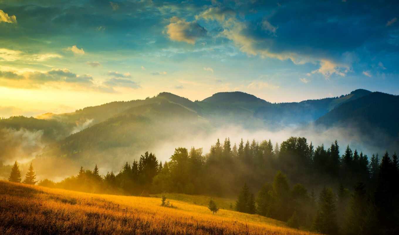 фон, лес, гора, ukraine, облако, карпаты