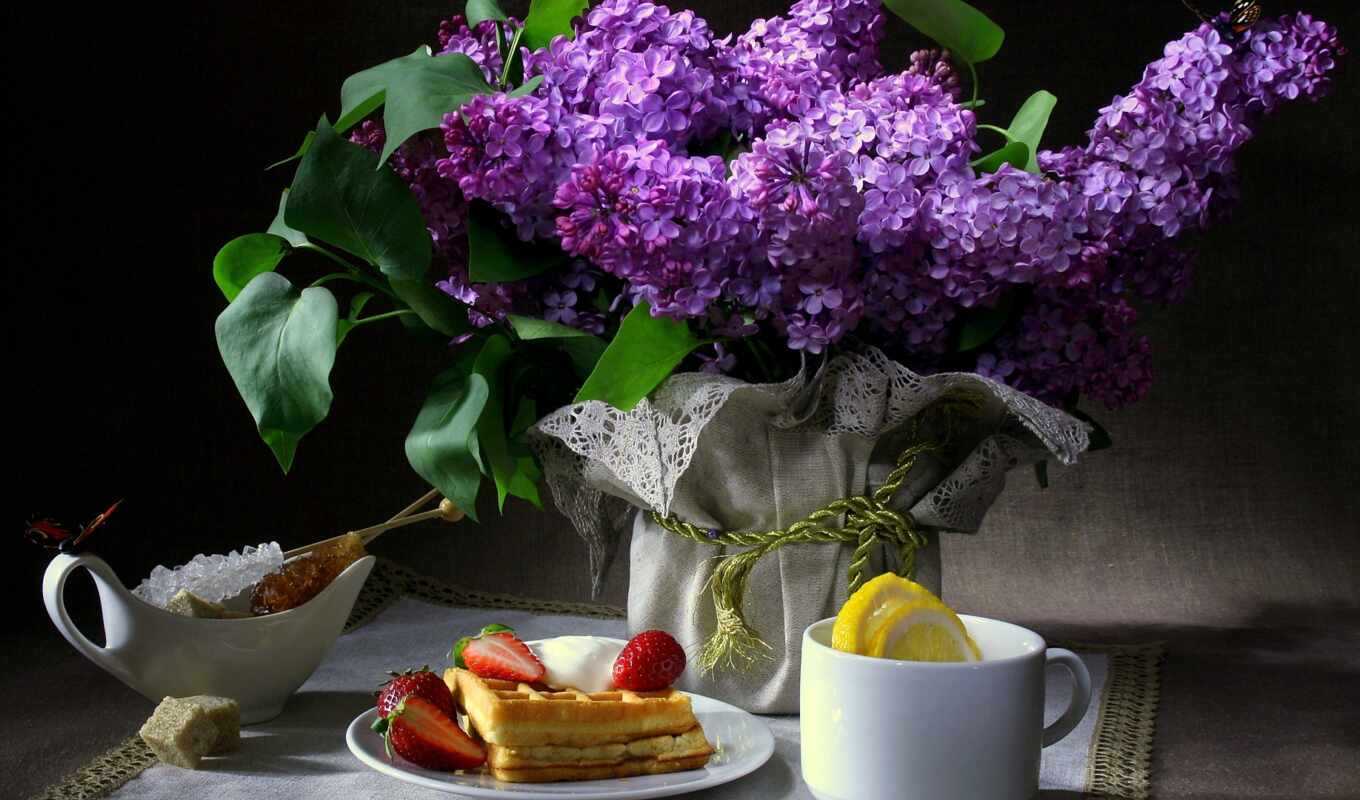 flowers, butterfly, dark, lemon, lilac, cup, sugar, breakfast, napkin, still-life, waffle