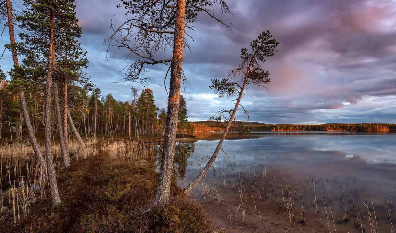 russian, landscape, natural