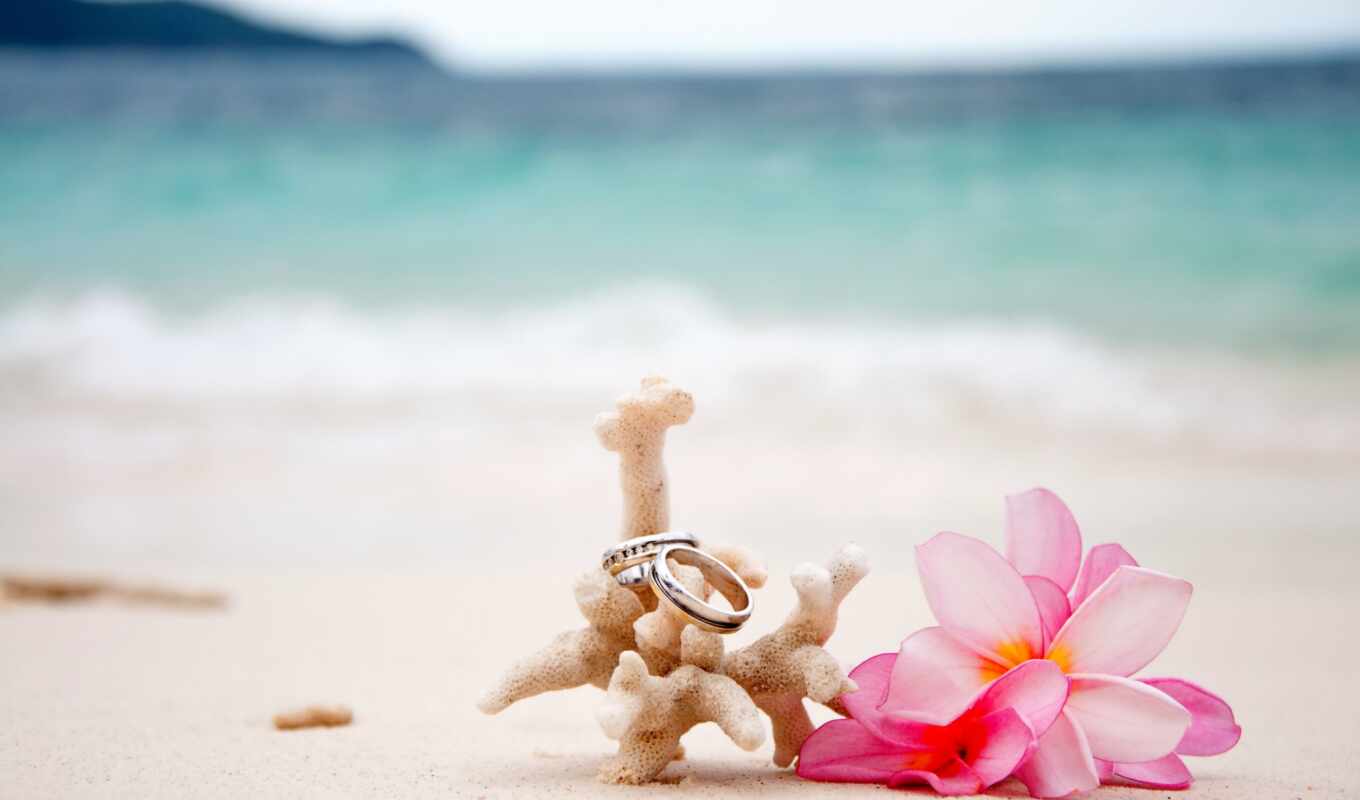 пляж, tapety, праздник, easter, церемония, telefon, идея, wed