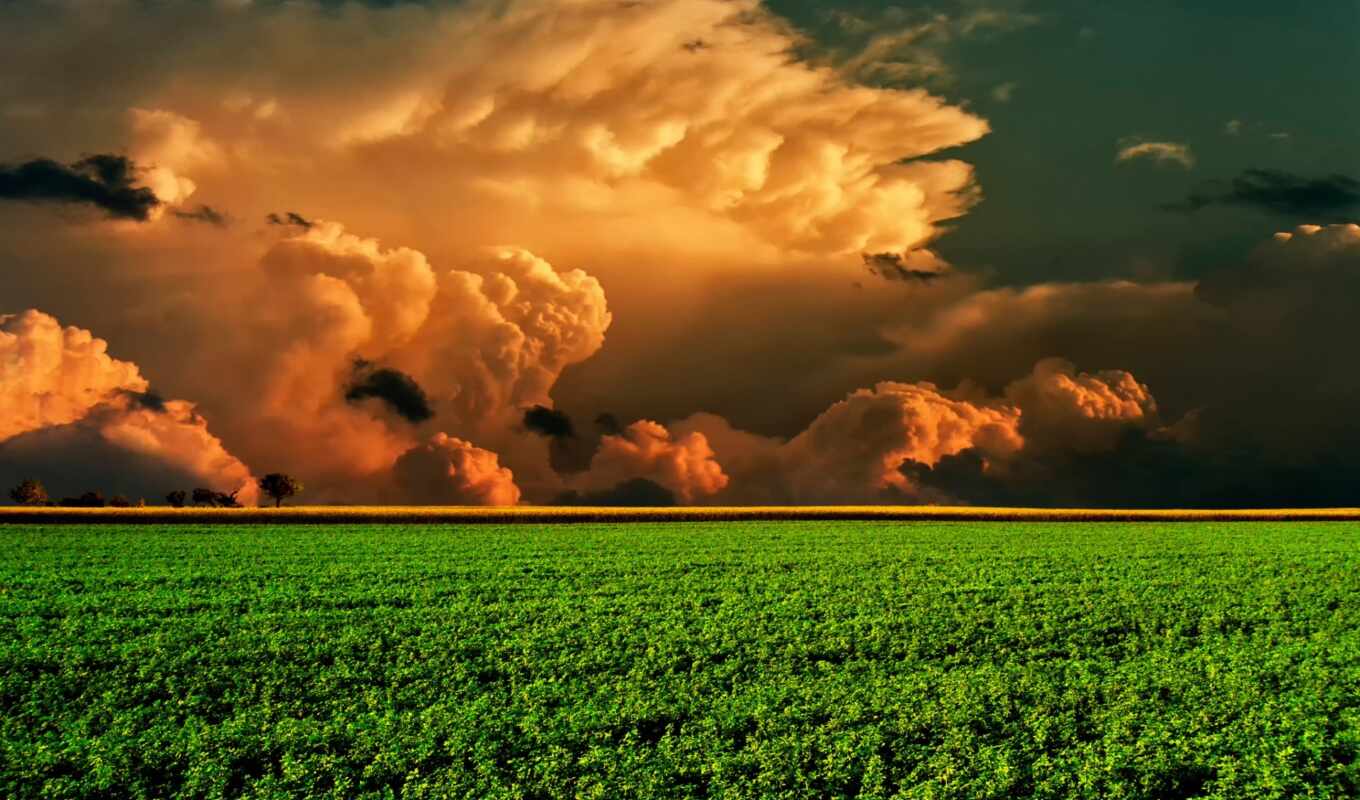 зелёный, поле, совершенный, облако, красивый