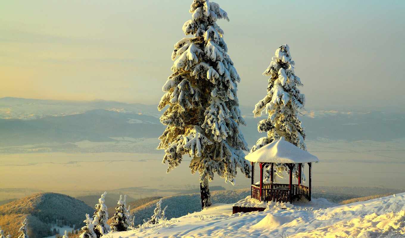 взгляд, дерево, снег, winter, гора, landscape
