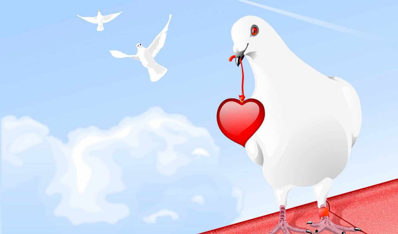 love, сердце, облако, птица, день, голубь, postcard, romana, влюбить