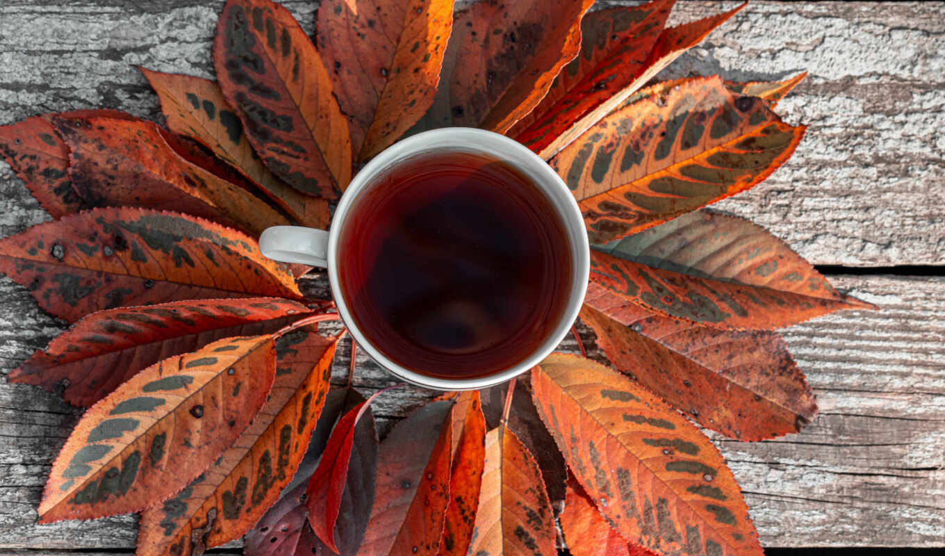 coffee, autumn, cosiness, tea