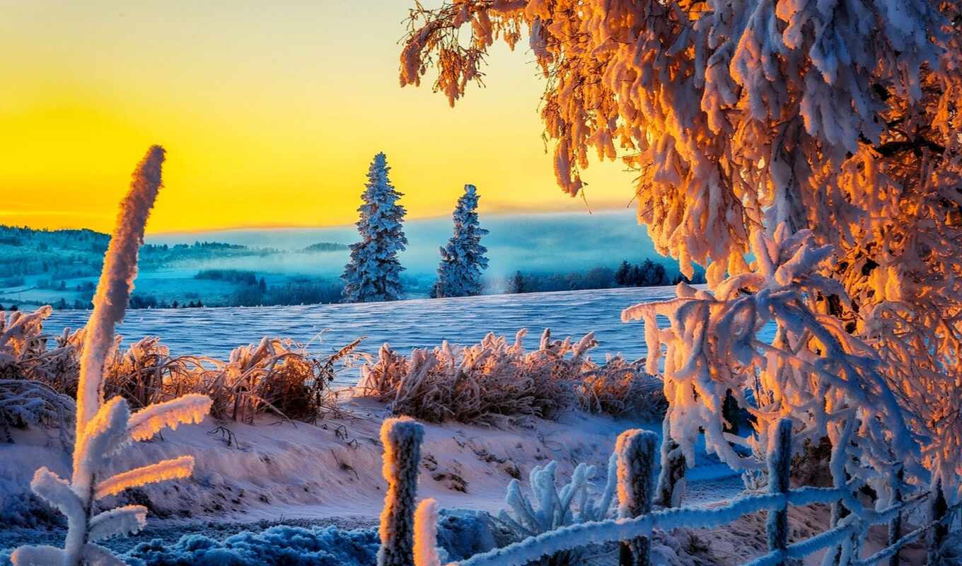 природа, небо, трава, снег, winter, дорога, landscape, зимние
