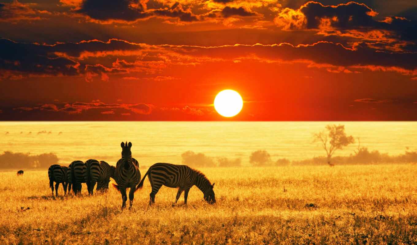sunset, Africa, funart
