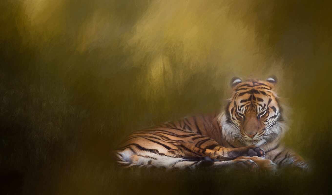 art, paint, lion, eyes, left, tiger, animal, puma