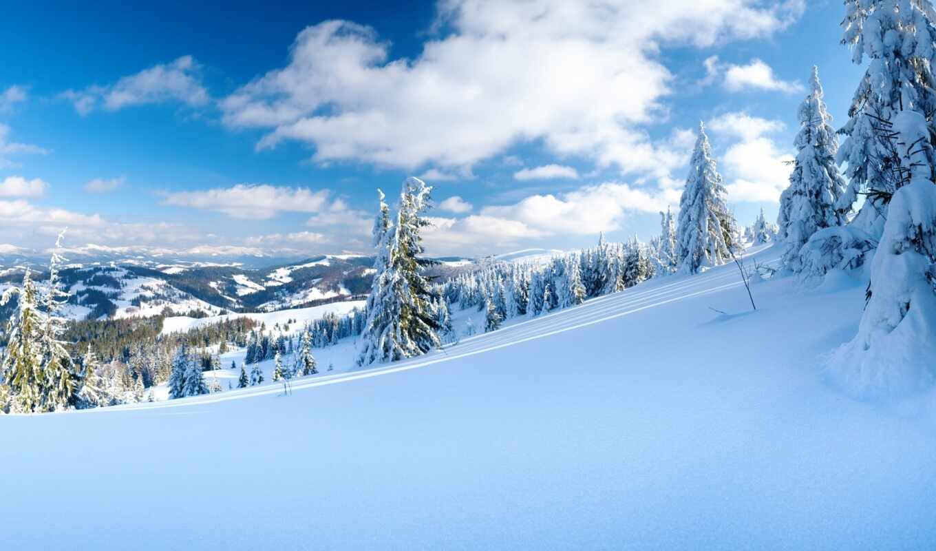 природа, пейзажи -, дерево, снег, winter, trees, зимние, oblaka