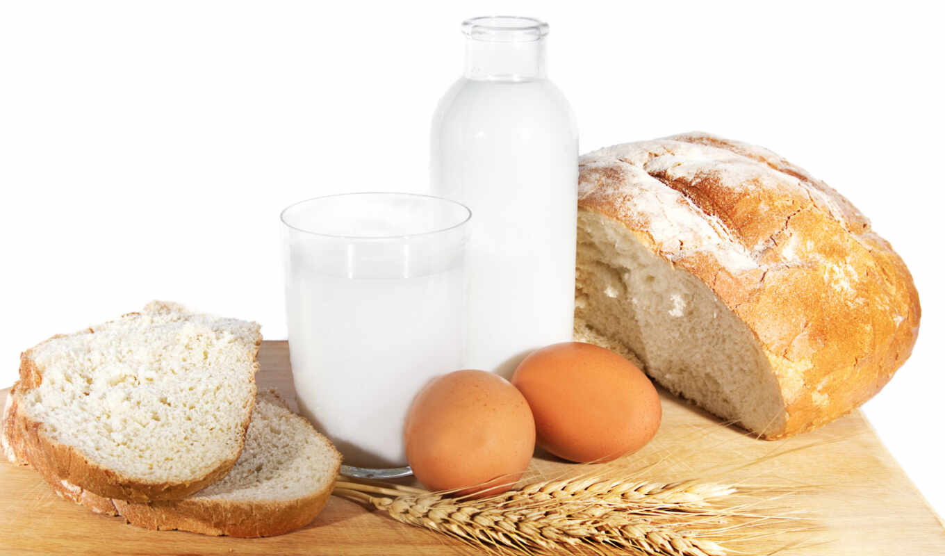 egg, milk, bread, kitchen, wheat, meal