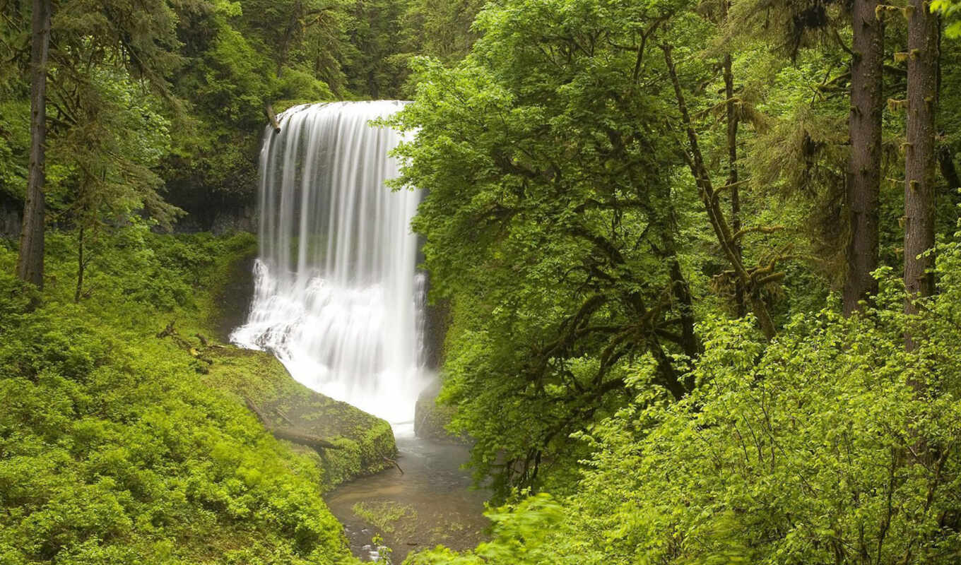 природа водопад деревья загрузить