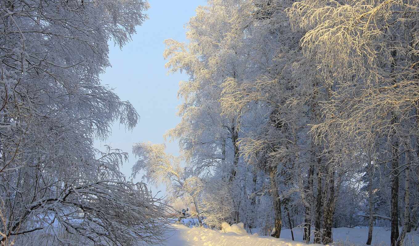 природа, пейзажи -, снег, winter, красавица, brook, зимние, дневник, tatyana, alcatel