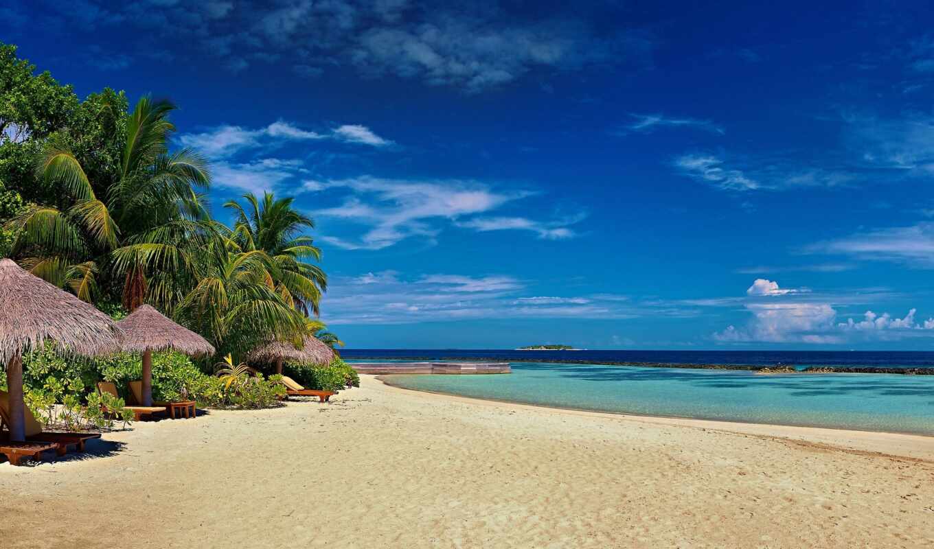 природа, white, water, пляж, море, песок, palm, tropical, zone, soft, clean