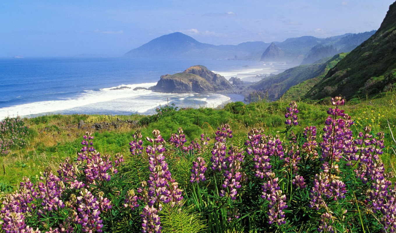 mountain, sea, coast