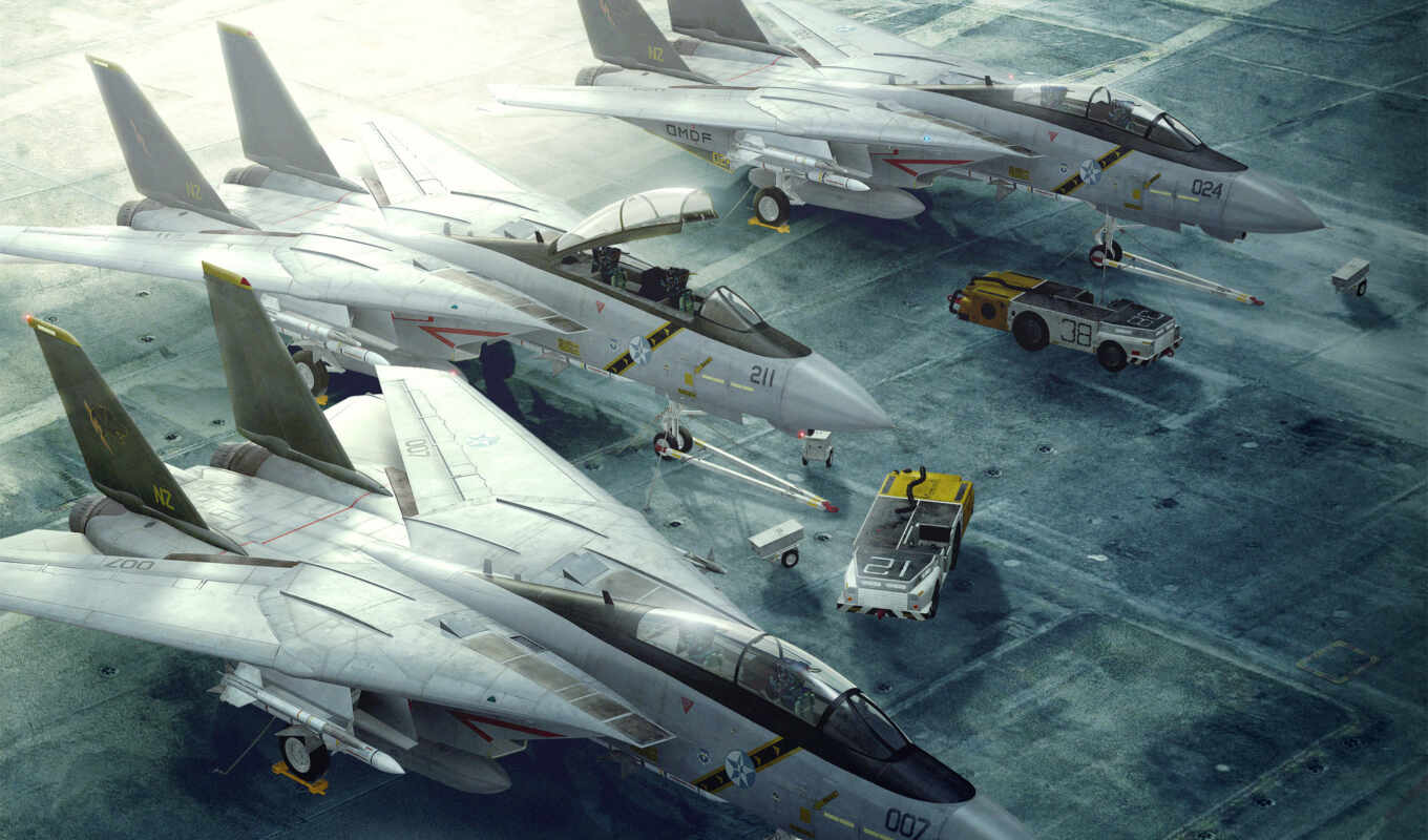 wallpaper, wallpapers, tomcat, the fighter, loaders