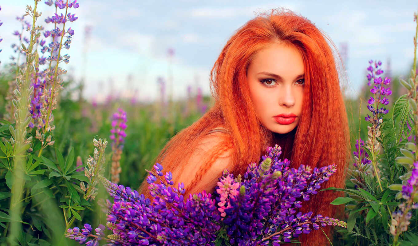 girl, field, sits, ginger, bouquet, cvety, hands, hold on, long hair, colors, lavender