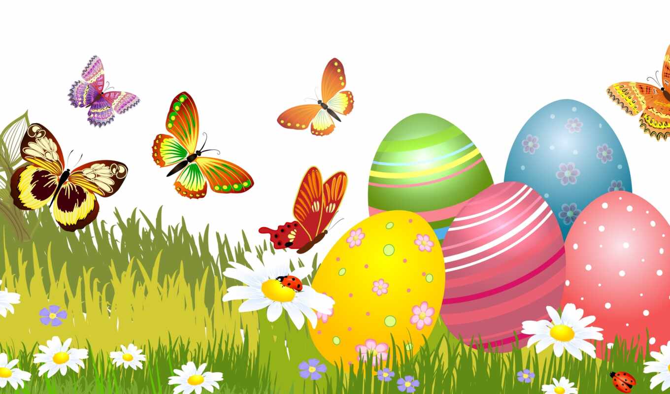 vector, grass, butterfly, egg, holiday, chamomile, easter, chart