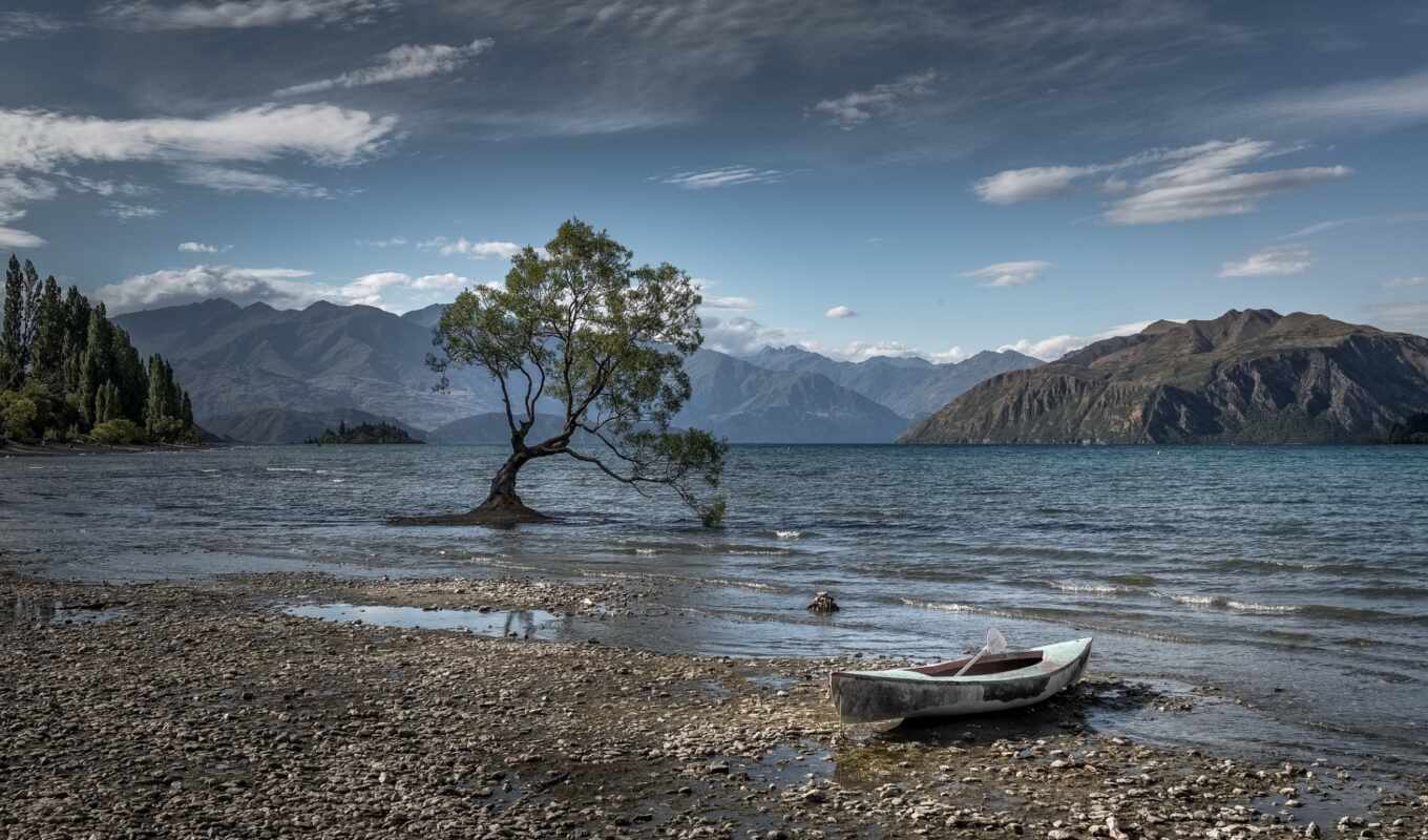lake, tree, grass, new, forest, landscape, zealand, a boat