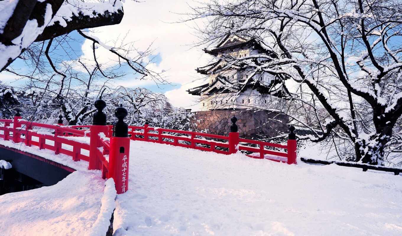 город, снег, winter, japanese, собака, aomorit