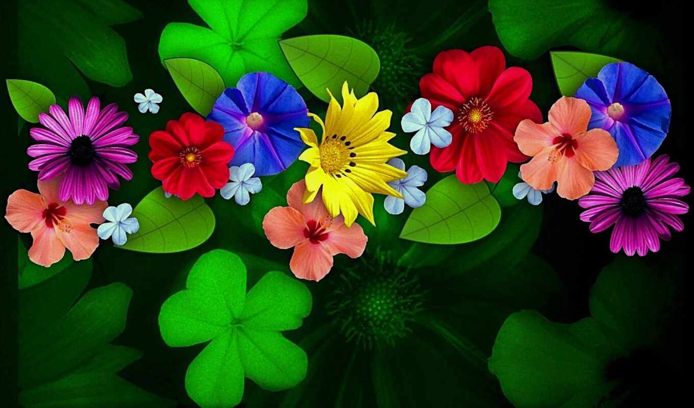flowers, colorful, petal, plant, color, leaf