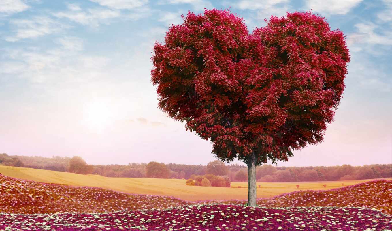 дерево, трава, романтика, поле, photoshop, сердце, день, valentine, святого, cvety, oblaka